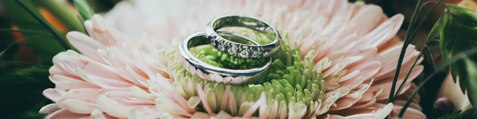 Two wedding rings resting on a pink flower